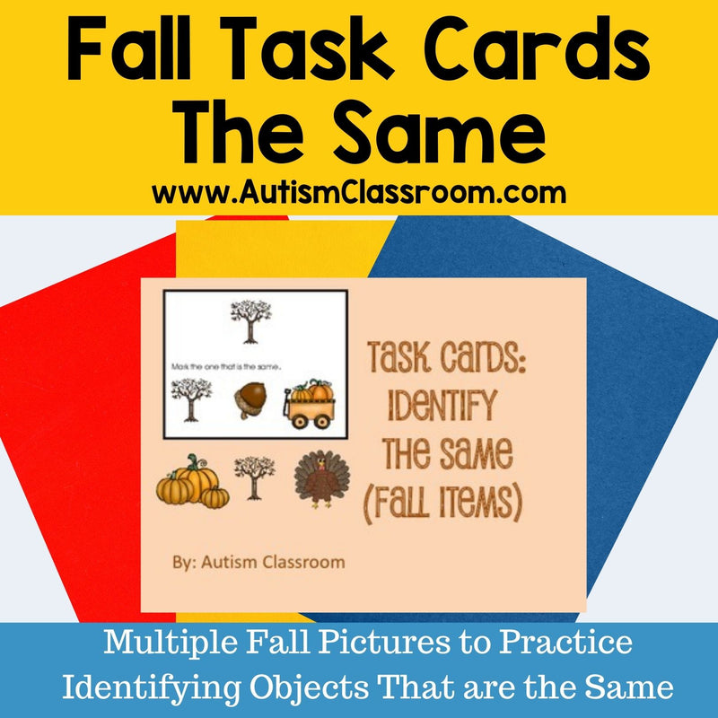 Task Cards -Identify the Same (Fall Items)