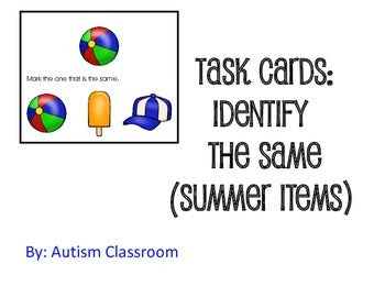 Task Cards -Identify the Same (Summer Items)