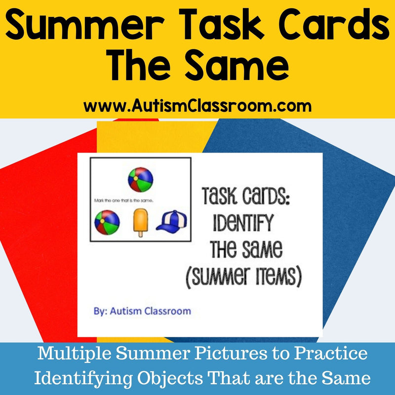 Task Cards -Identify the Same (Summer Items)