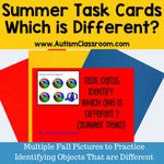 Task Cards- Summer Items (Which One is Different?)