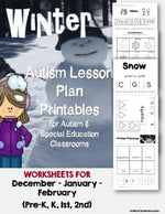 Autism/SPED Language Lesson Plan Printables / Worksheets (Winter Theme)