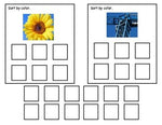 Already Done! Tasks for IEP Work Bins- Sorting Colors