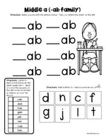 Phonics Reading Skills Printables for Students with Autism - CVC Words SAMPLER