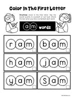 Phonics Reading Skills Printables for Students with Autism - CVC Words SAMPLER